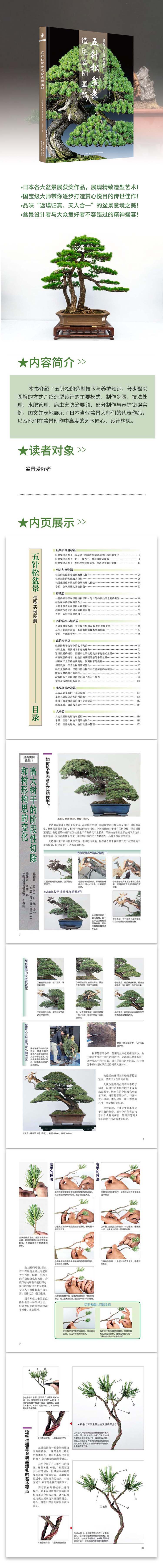 1654428309851894.jpg 五针松详情1.jpg