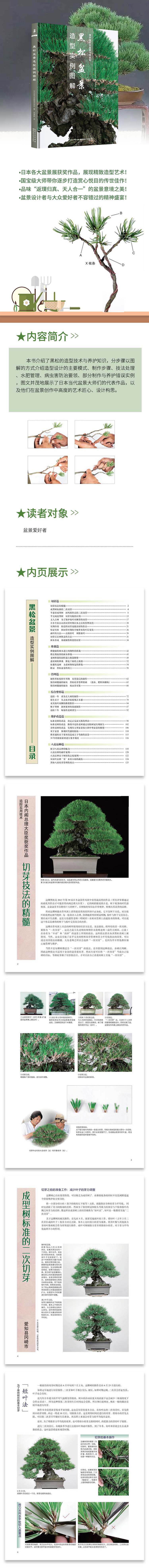 1654428314309113.jpg 黑松详情1.jpg