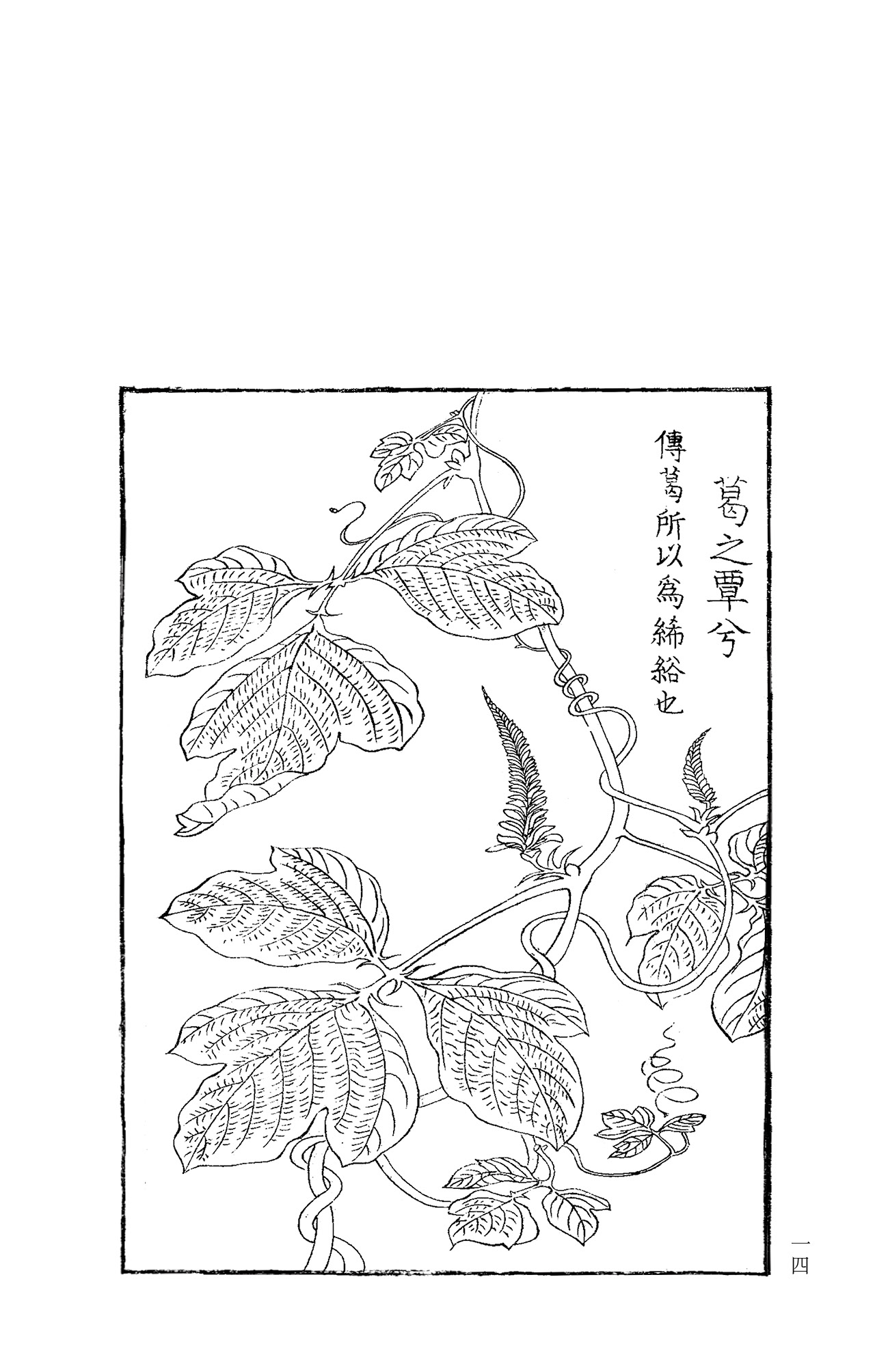 1655300648692691.jpg