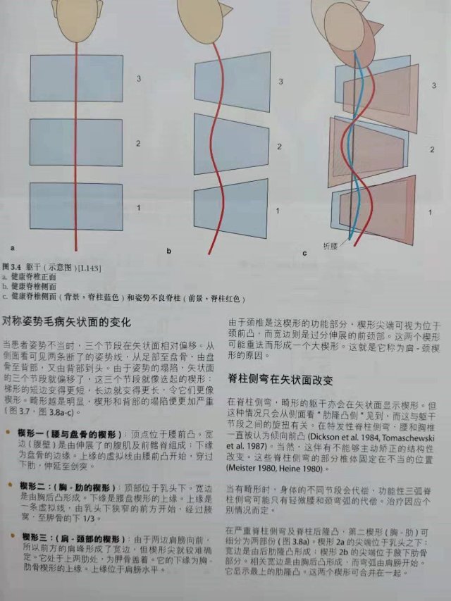 1657785411454786.jpg
