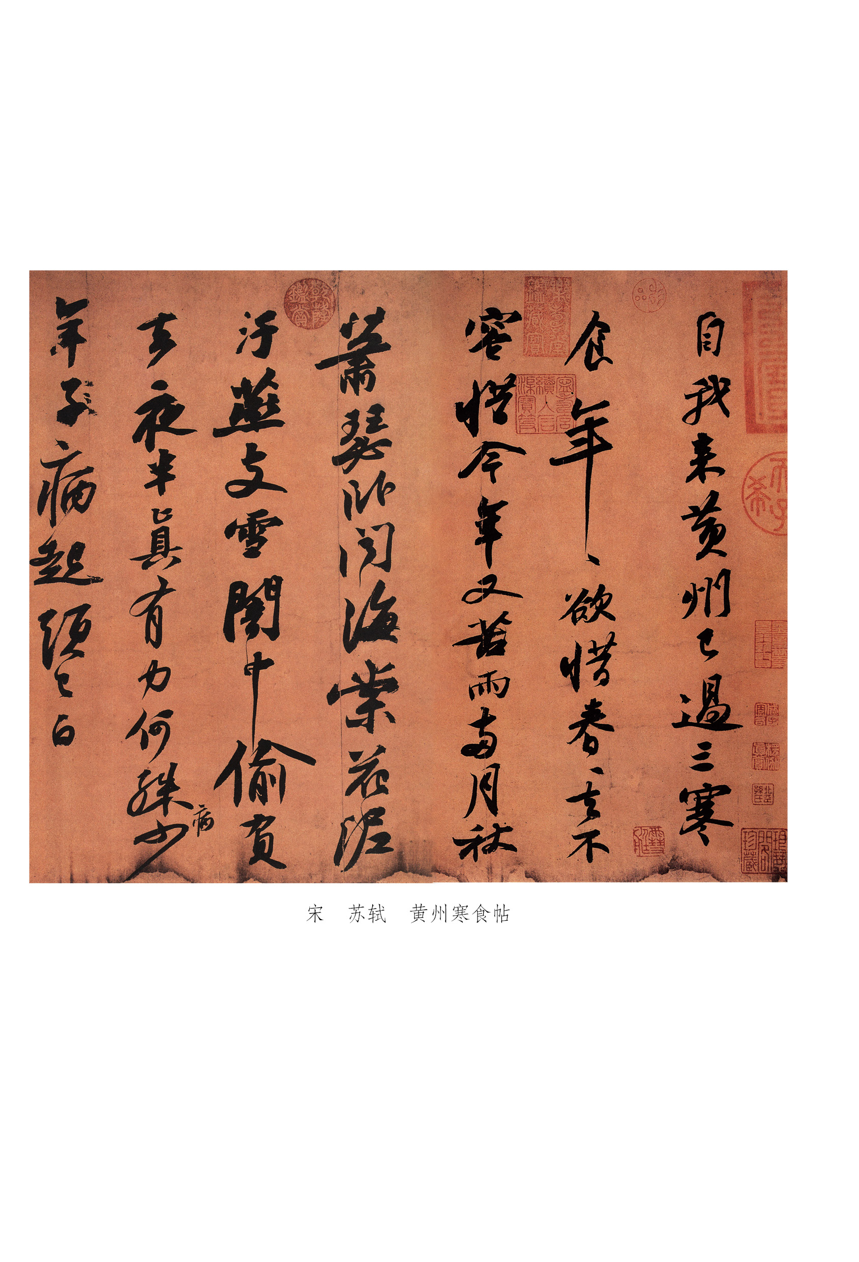 1657799625305212.jpg 书摘2.jpg