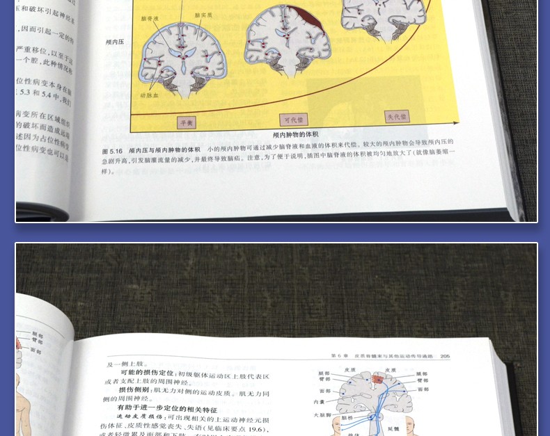 1661752535478963.jpg