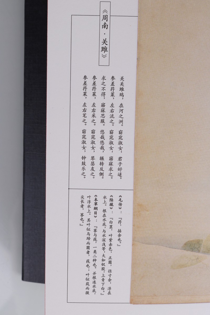 1663387168877251.jpg
