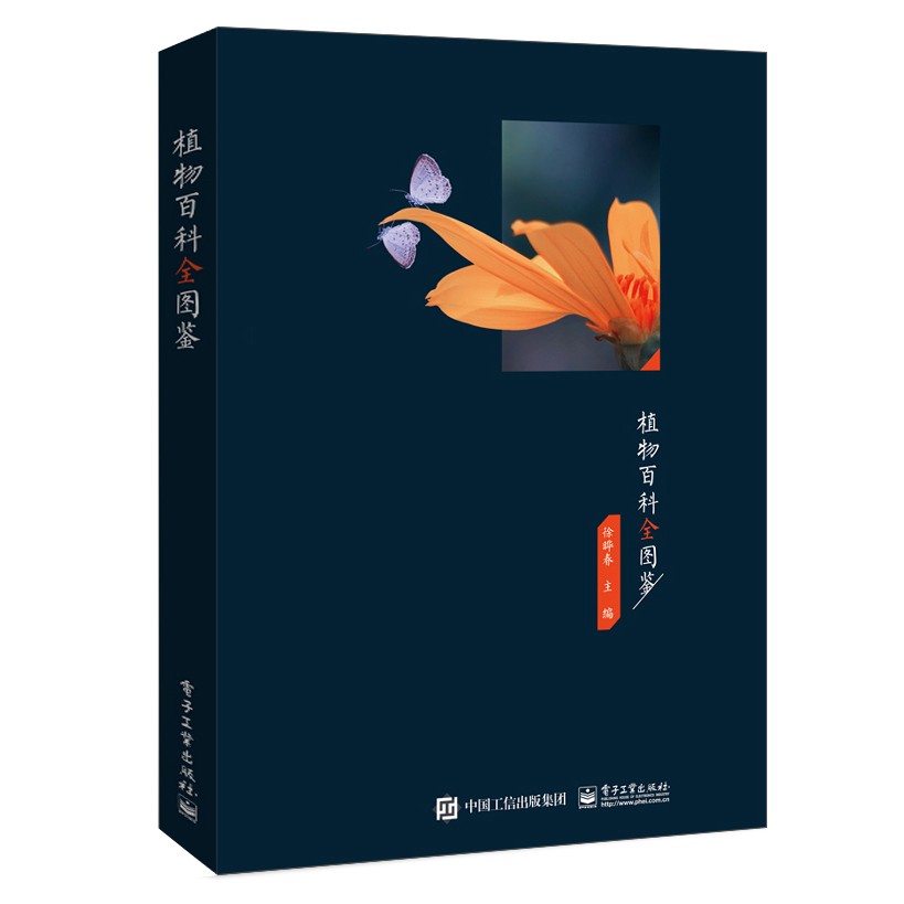 1666167254688946.jpg 主图-01.jpg