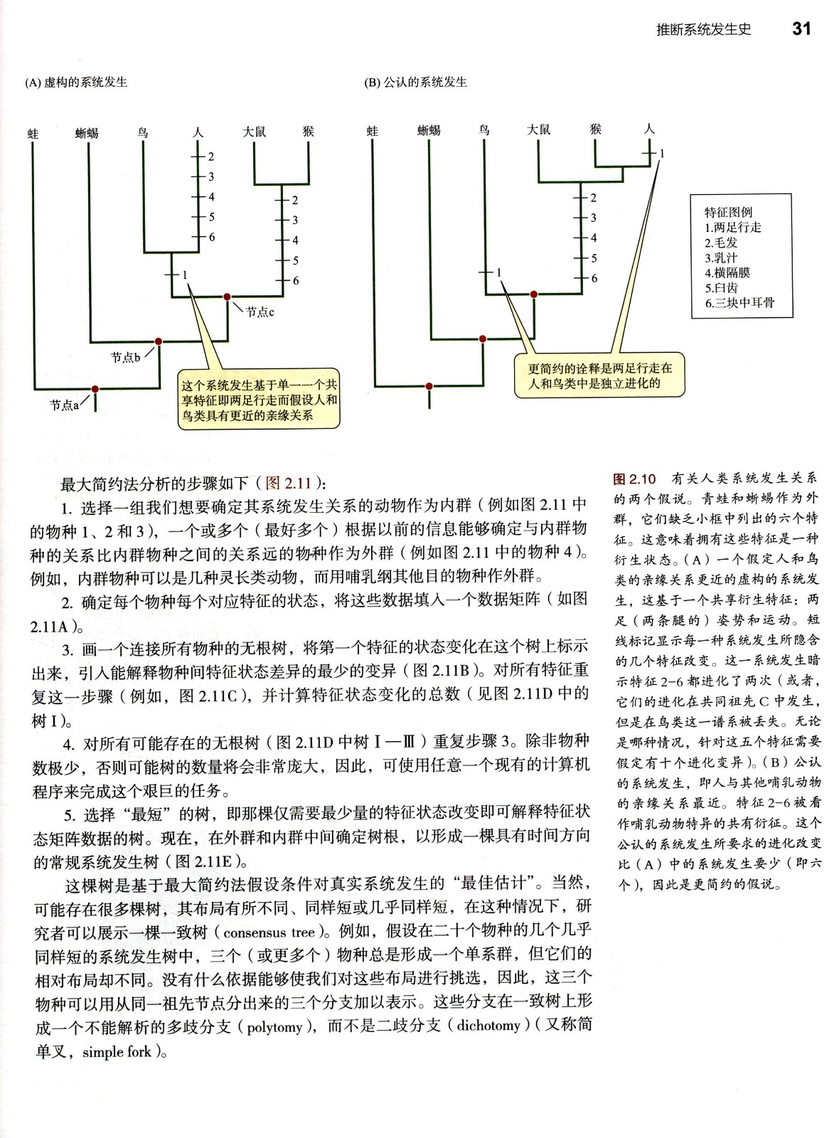1667209701915306.jpg