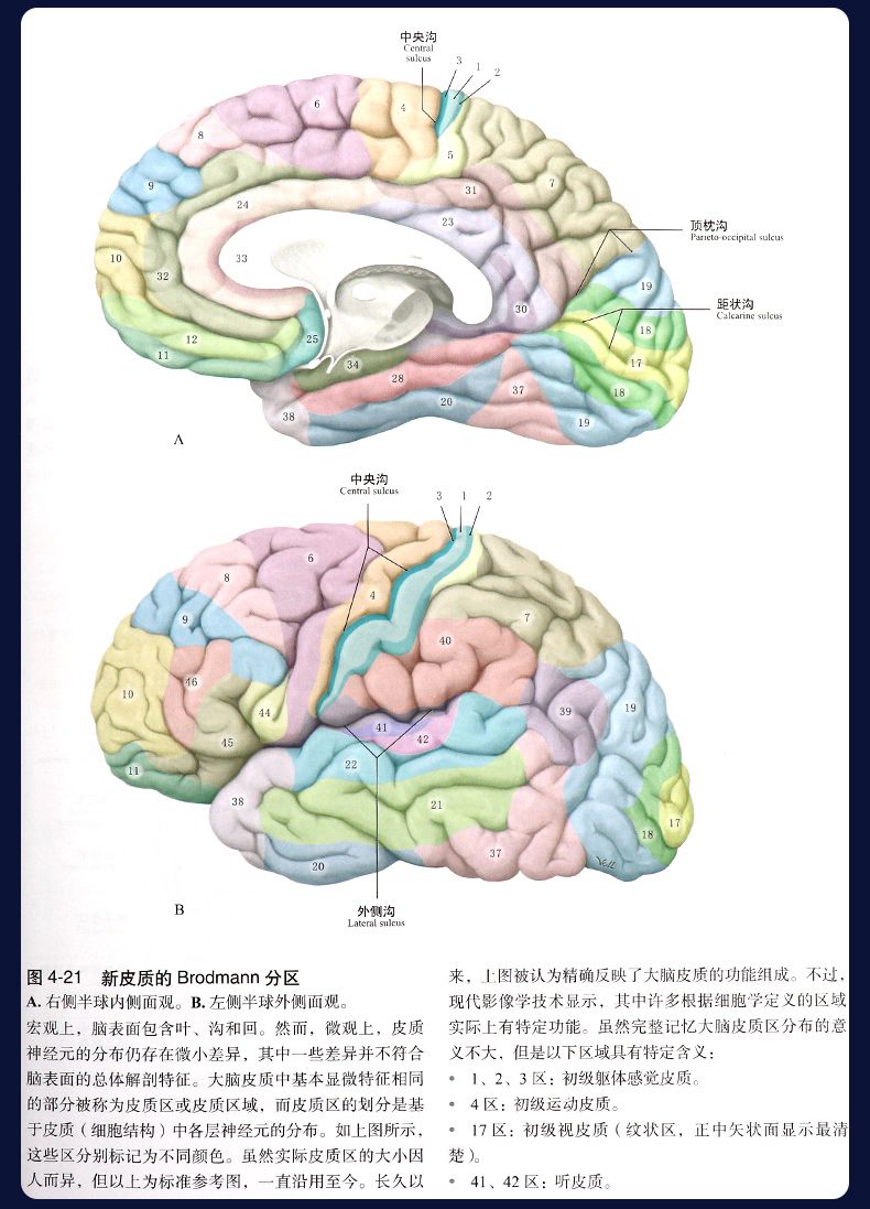1667213820336012.jpg