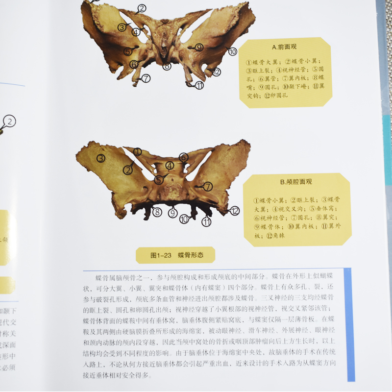 1667300098497204.jpg 主图-04.jpg