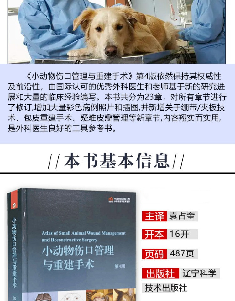 1668418891595055.jpg
