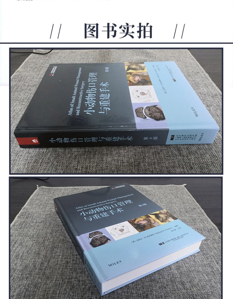 1668418892244440.jpg