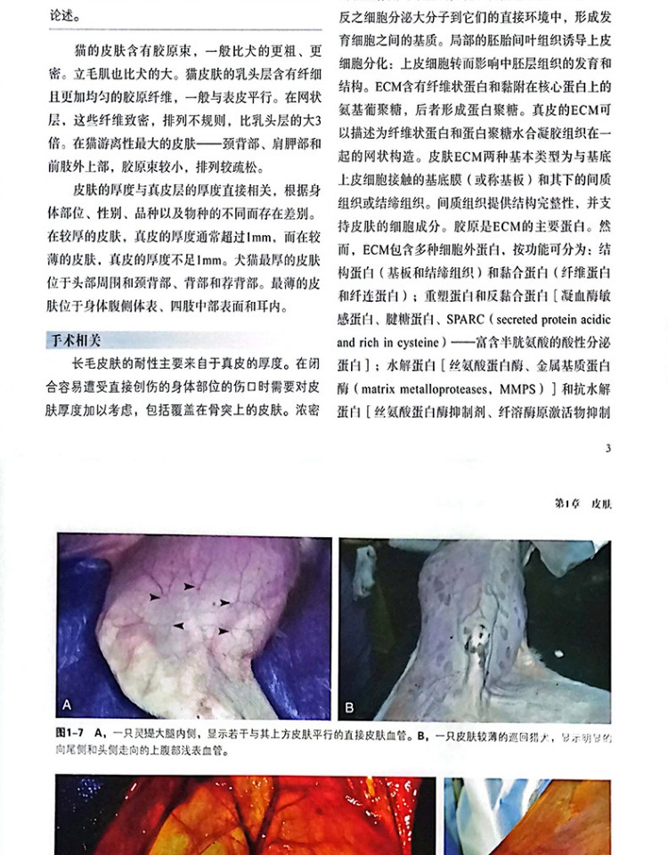 1668418892899602.jpg