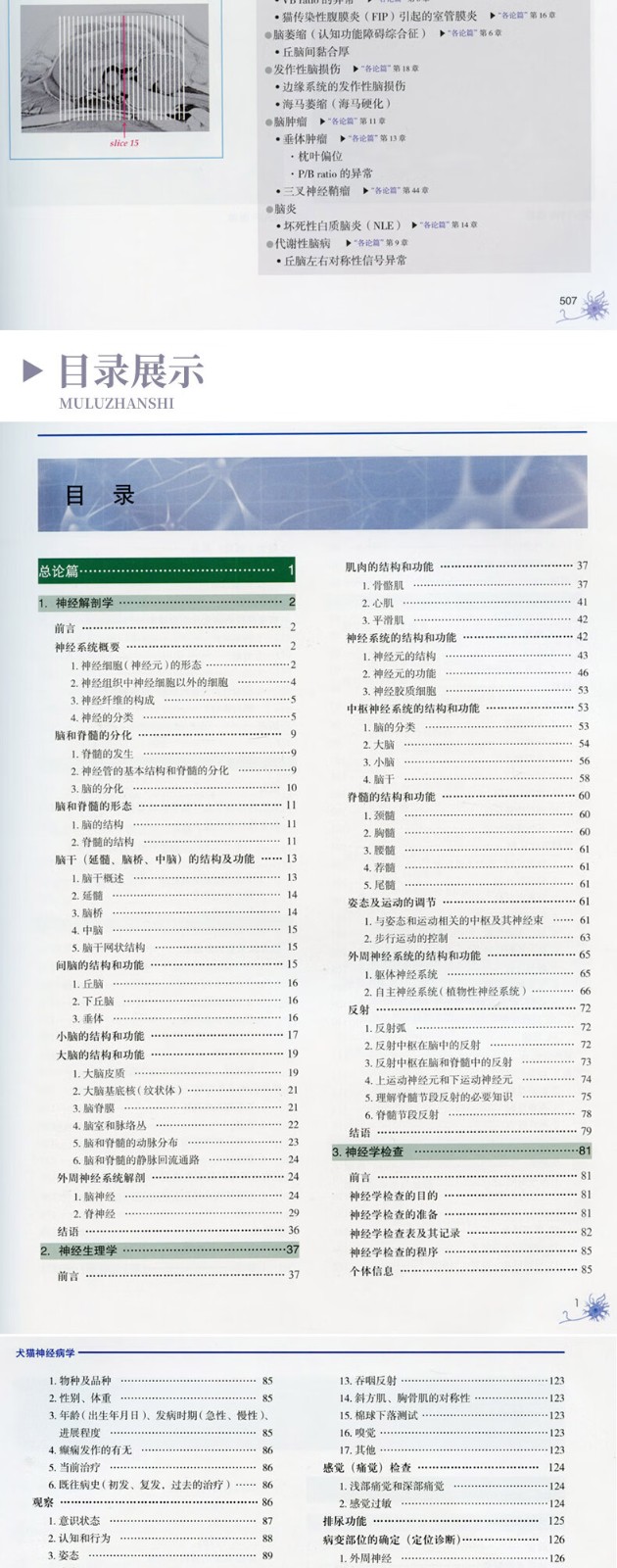 1668419819920516.jpg