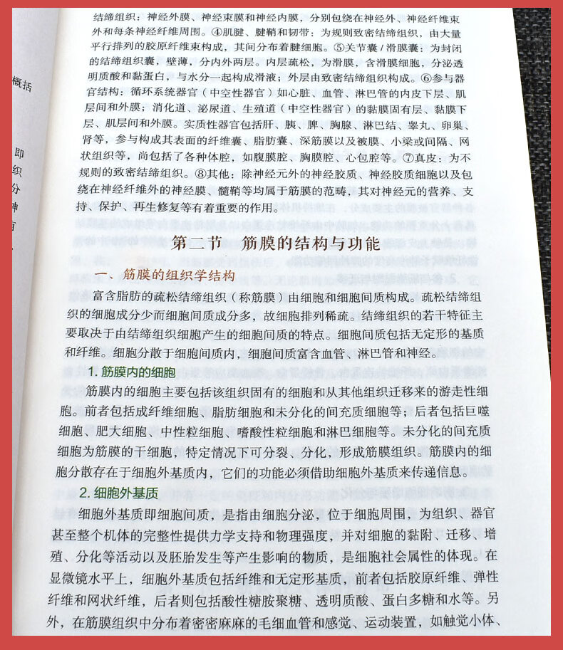 1668652430178651.jpg