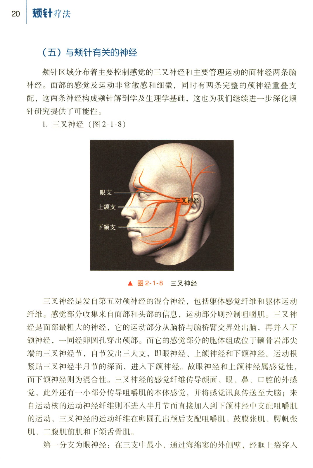 1680595436648752.jpg