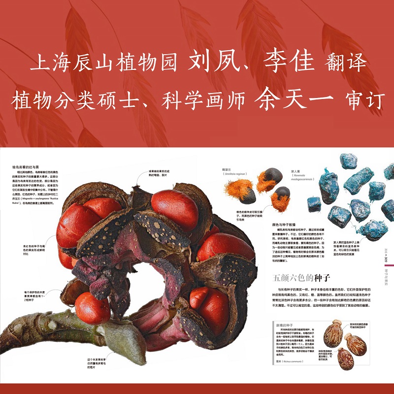 1685527462854694.jpg 主图-8.jpg