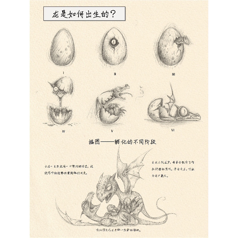 书摘23.jpg