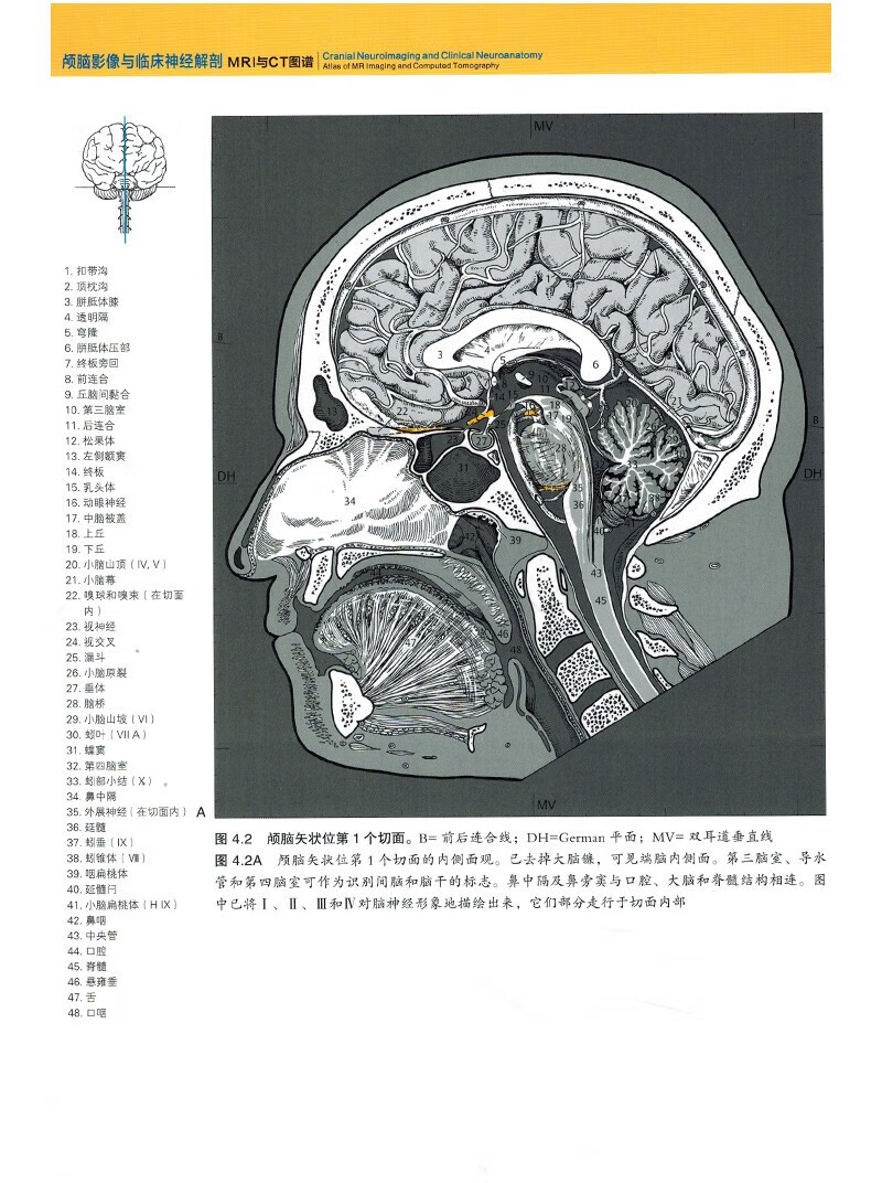 1689144310974177.jpg