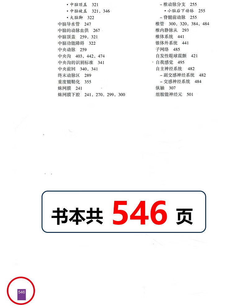 1689144311868109.jpg