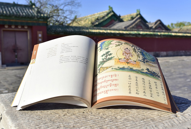 1691580176583700.jpg 实拍1.jpg