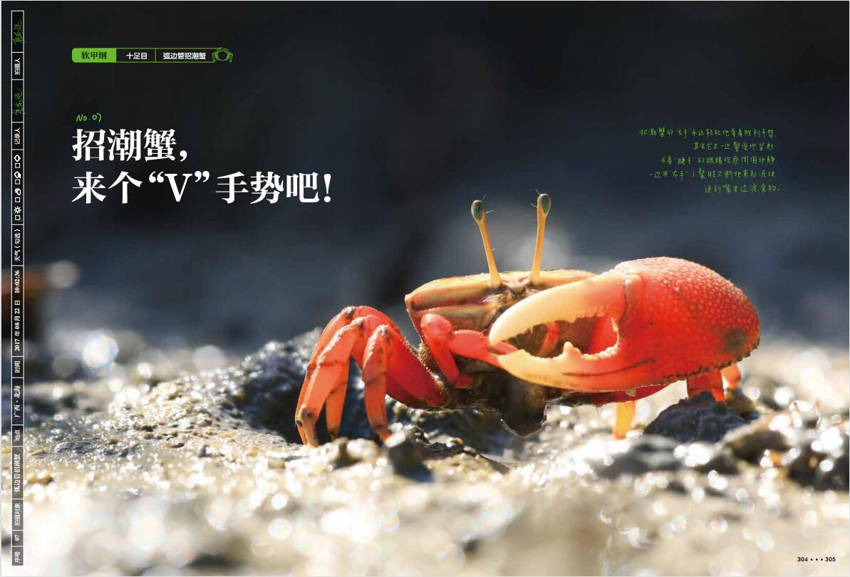 1691750891801307.jpg 水陆书摘1.jpg