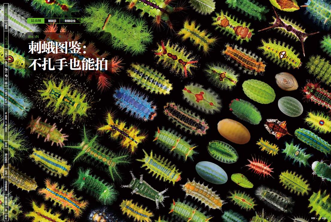 1691751046444872.jpg 虫语书摘1.jpg