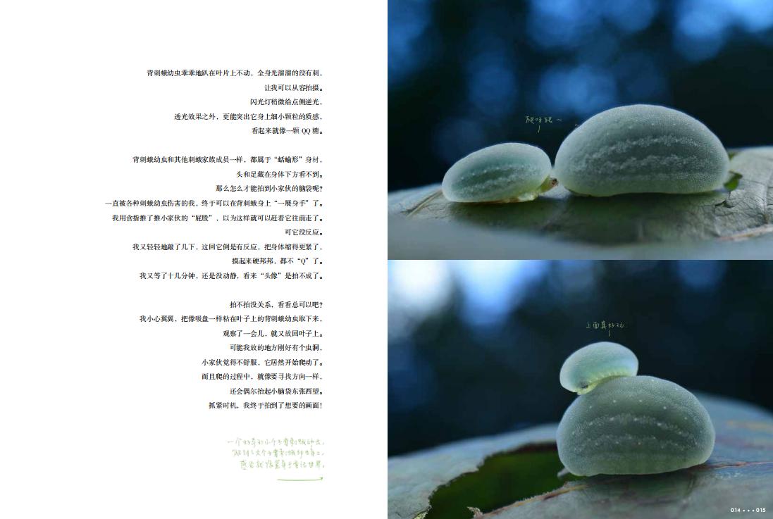 1691751052154702.jpg 虫语书摘4.jpg