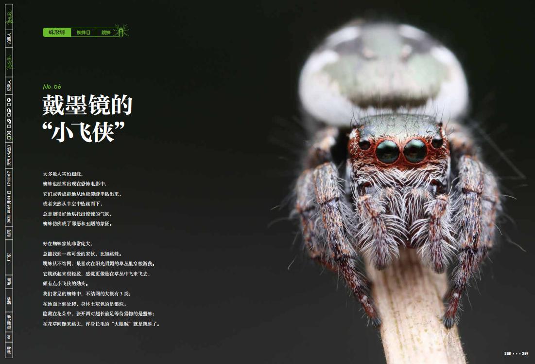 1691751057516052.jpg 虫语书摘6.jpg