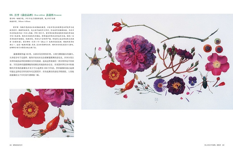 1696855592593280.jpg 书摘2.jpg