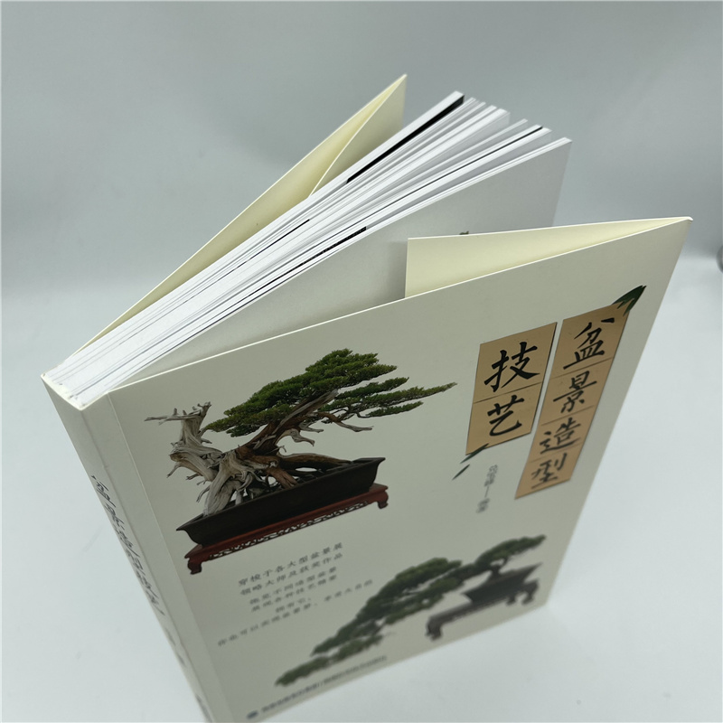 1698230916857301.jpg 盆景详情6.jpg