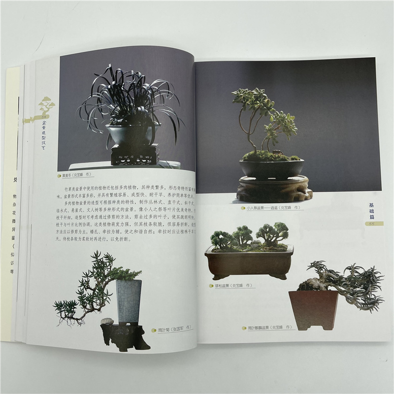 1698230924874158.jpg 盆景详情8.jpg
