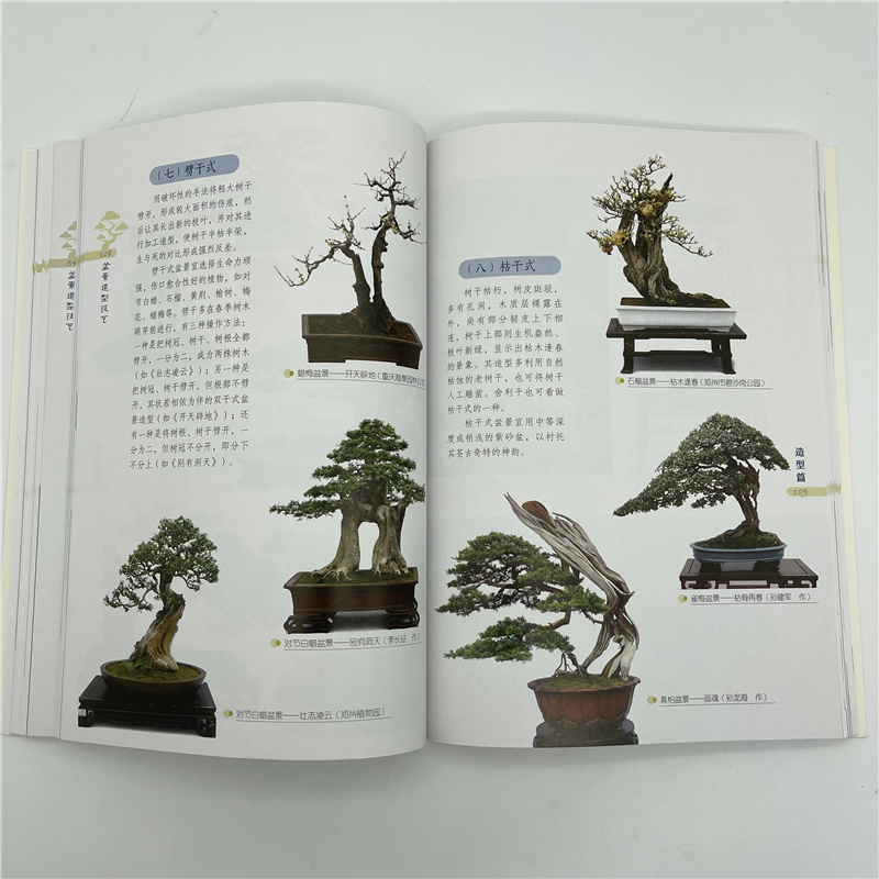 1698230927518103.jpg 盆景详情9.jpg