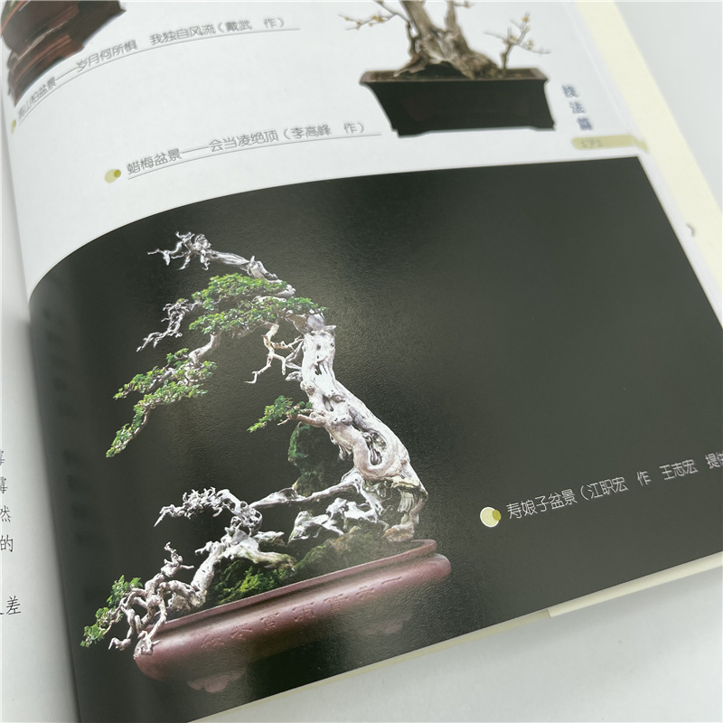 1698230935208572.jpg 盆景详情11.jpg