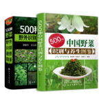 500種野菜野外識別速查圖鑑+500種野菜養生圖鑑（全2冊 ）
