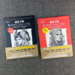 超級手稿全球奇幻藝術大師概念圖集1+2合集（全兩冊）
