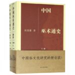 中國巫術通史(上下)(精)