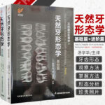 天然牙形態學：【基礎篇】+【進階篇】（全彩上下兩冊）