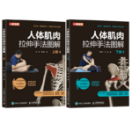 人體肌肉拉伸手法圖解（上肢+下肢）【2册套装】