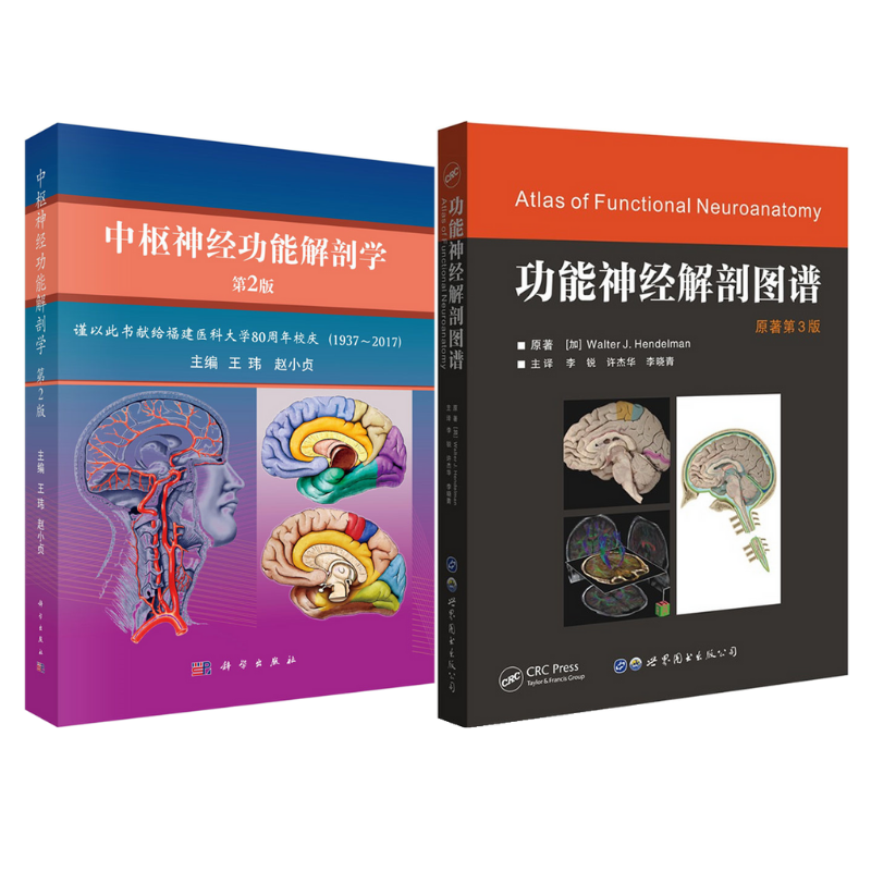 635a4f316f12c.png 功能神經解剖圖譜(原著第3版)+中樞神經功能解剖學(第2版)【2冊套裝】 - 图片 1