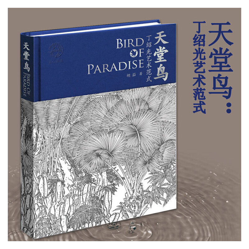 635ccbd6a9dfd.jpg 天堂鳥:【丁紹光藝術範式】(精裝全新塑封) - 图片 1