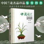 【中國蘭花名品珍品鑒賞圖典】