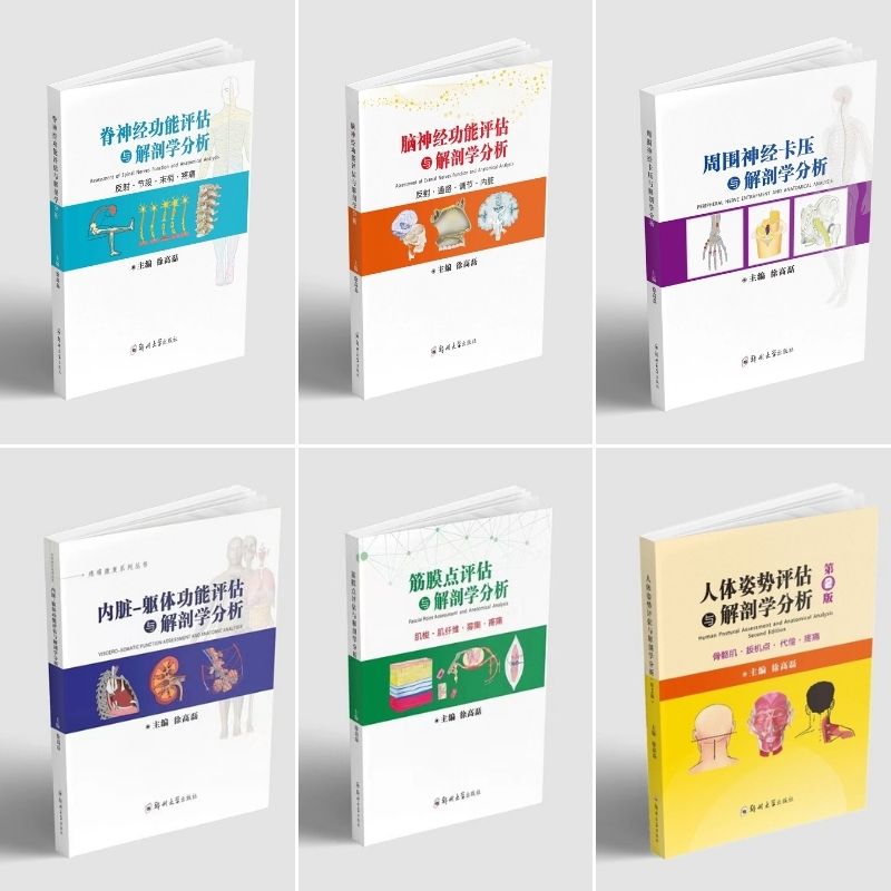 解剖學分析系列