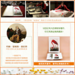 【奧杜邦手繪鳥類高清大圖全集】（典藏版）