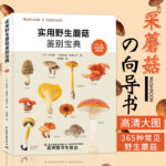 【實用野生蘑菇鑒別寶典】