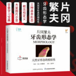 6月新版【片岡繁夫牙齒形態學】