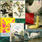 【美洲鳥類】（博物館典藏版）+【美洲鳥類】（精裝版）