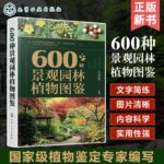 【600種景觀園林植物圖鑒】
