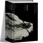隱藏的風景·廣西古生物化石記（重達1.9公斤）